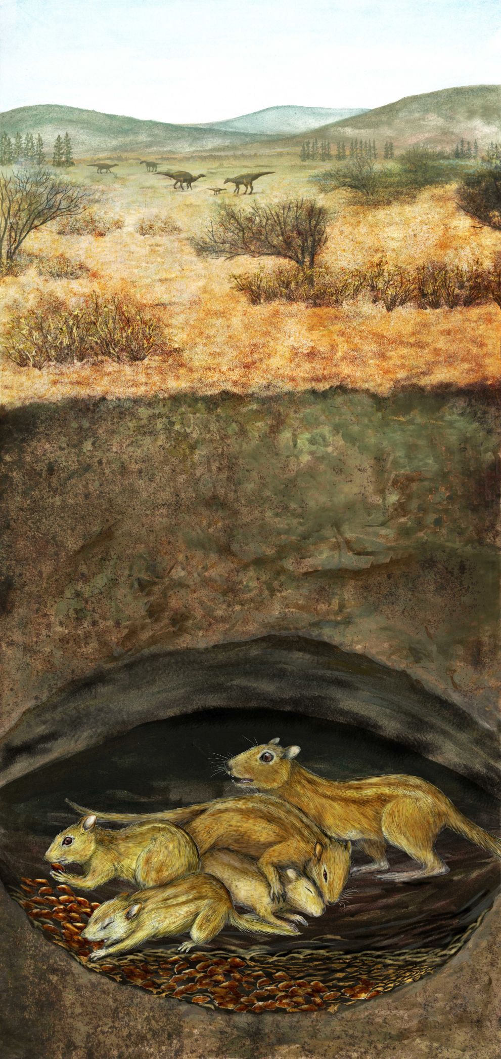 Burrowers